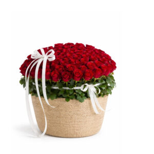 Signature Red Arrangement Rosas rojas